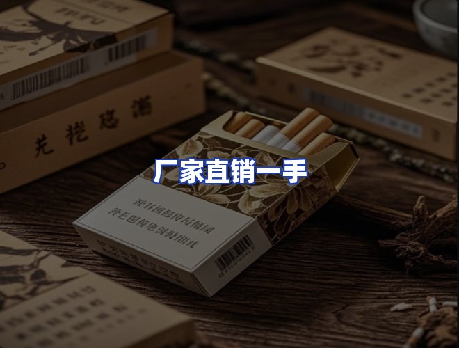 专业团队